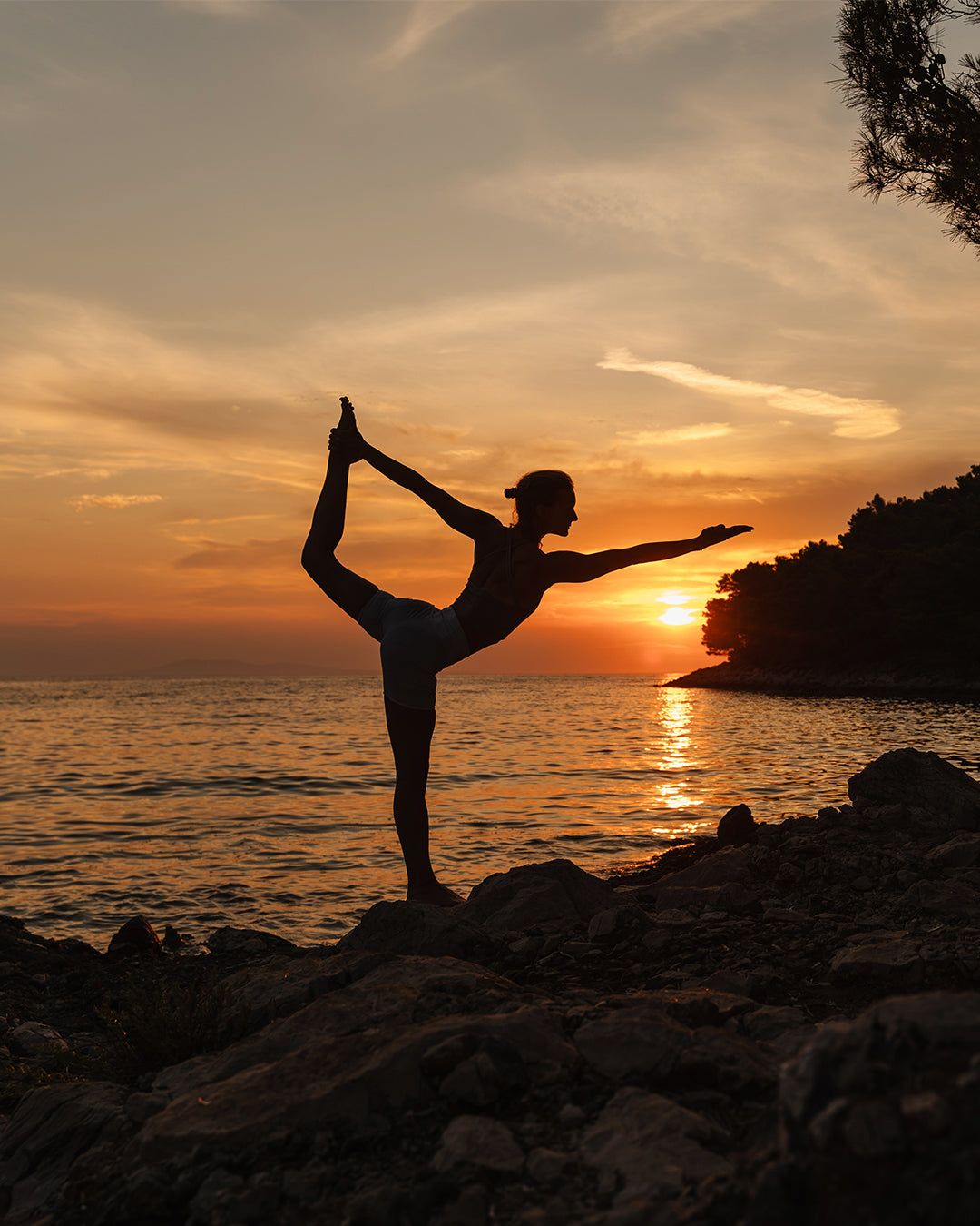 The Connection Between Health and Wellness