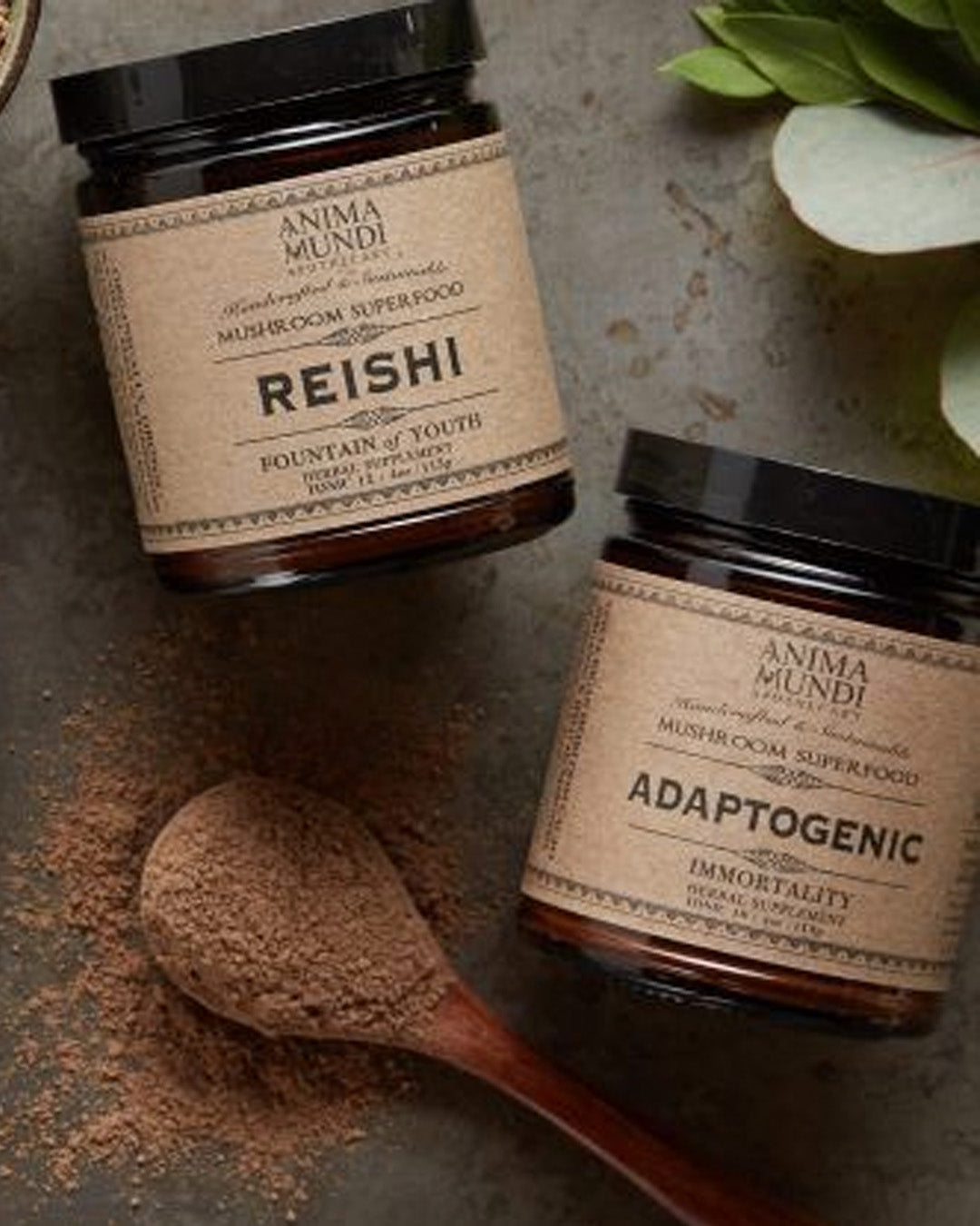 Anima Mundi Herbals