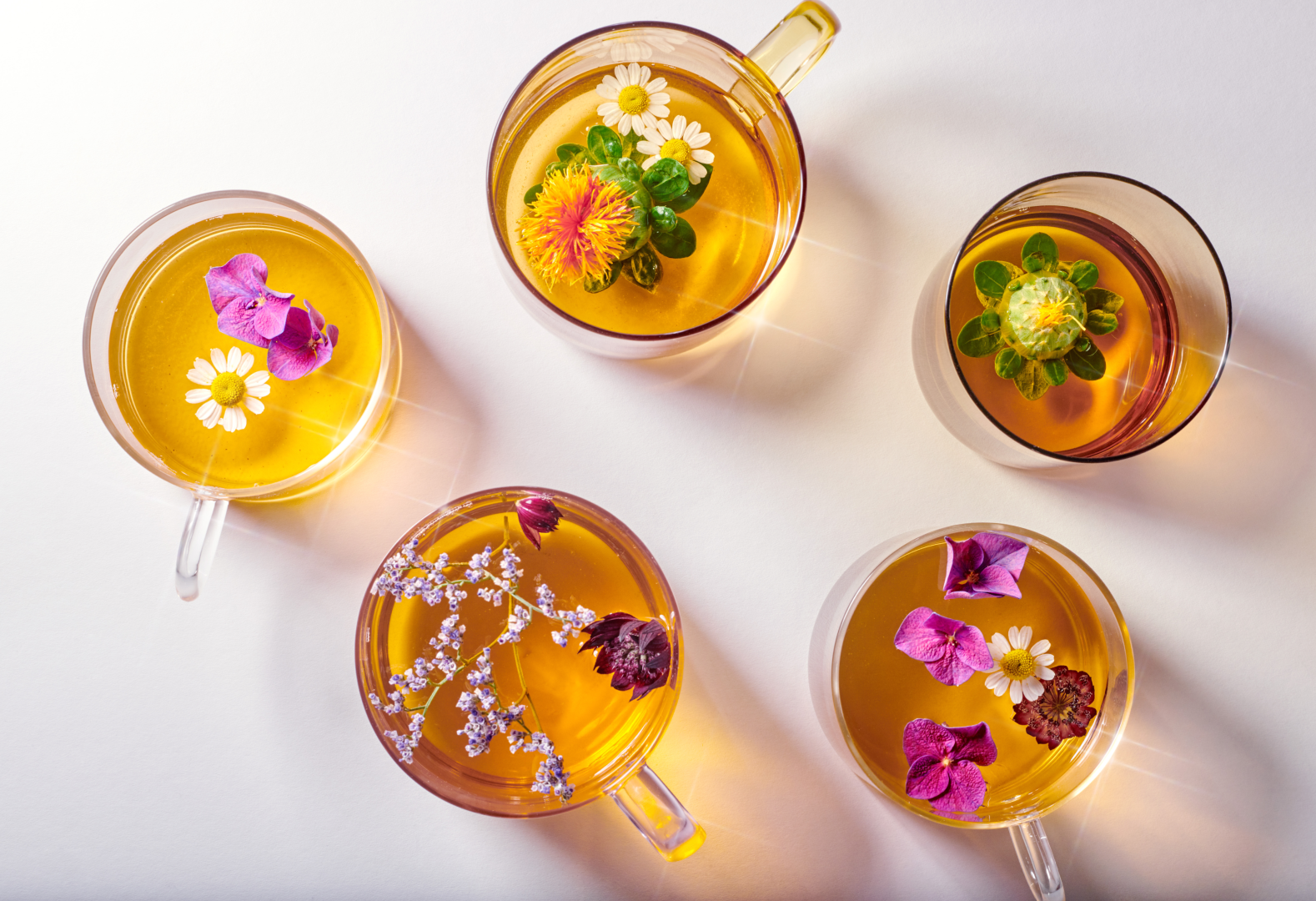 Lemongrass Hibiscus & Grapefruit Infusion