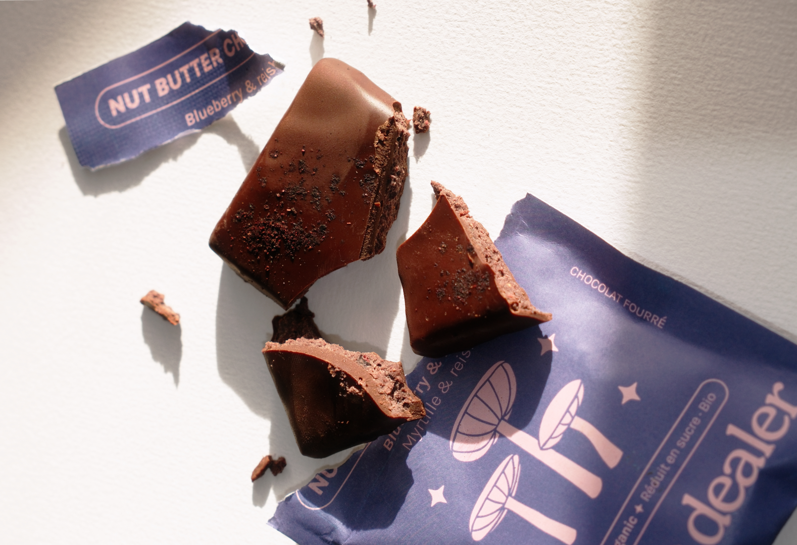 Wild Blueberry & Reishi Chocolates