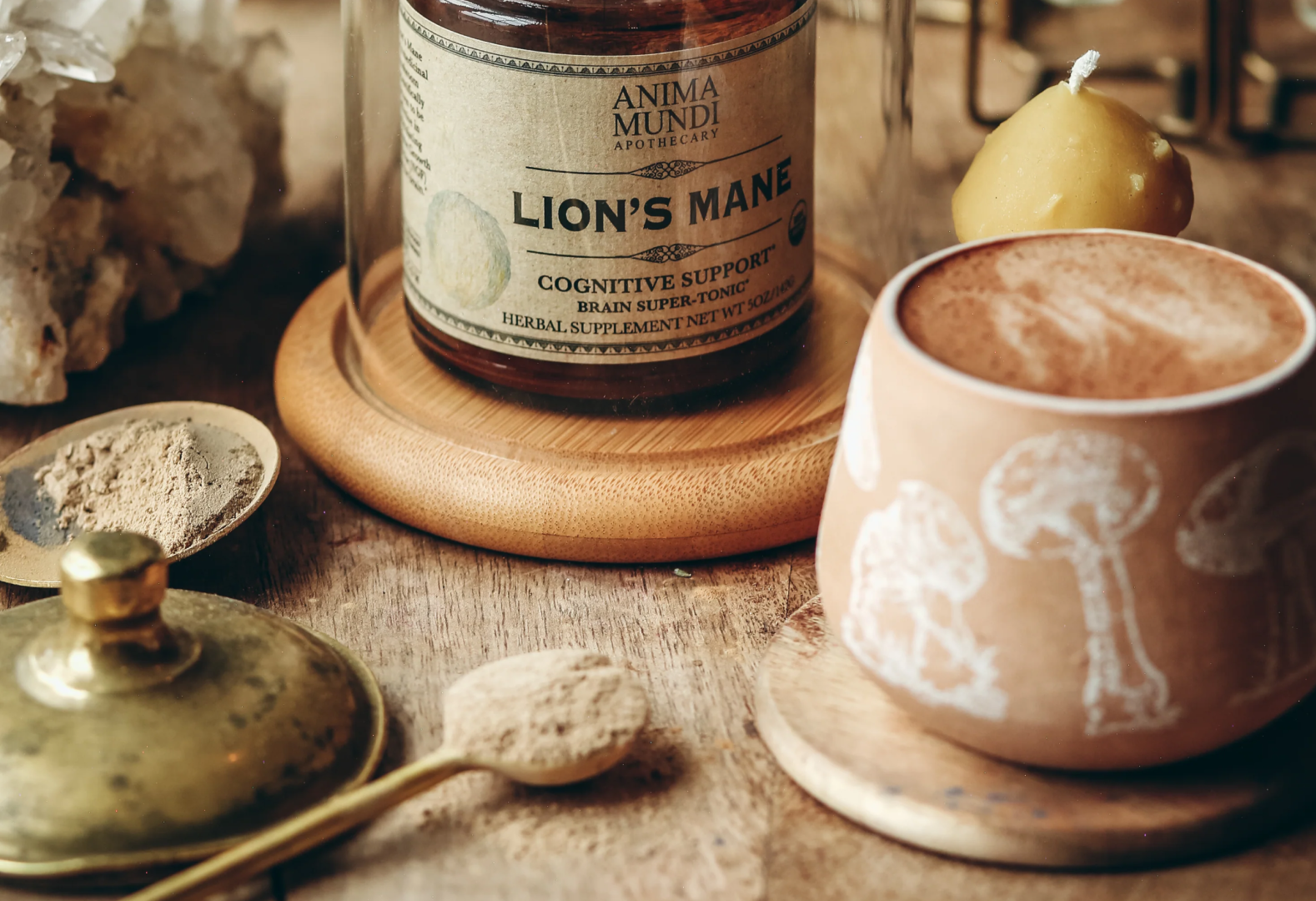 LION'S MANE | Organic Mushroom Powder, Focus Tonic