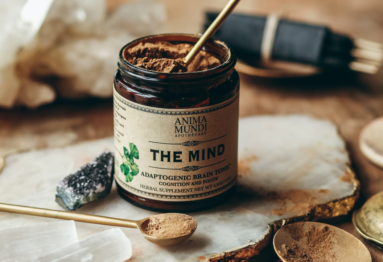 THE MIND | Cognition + Focus