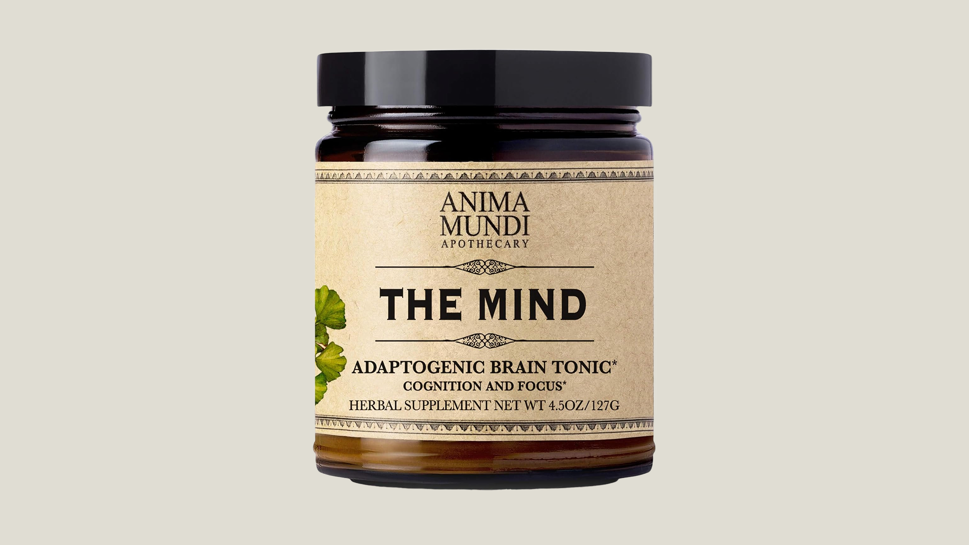 THE MIND | Cognition + Focus