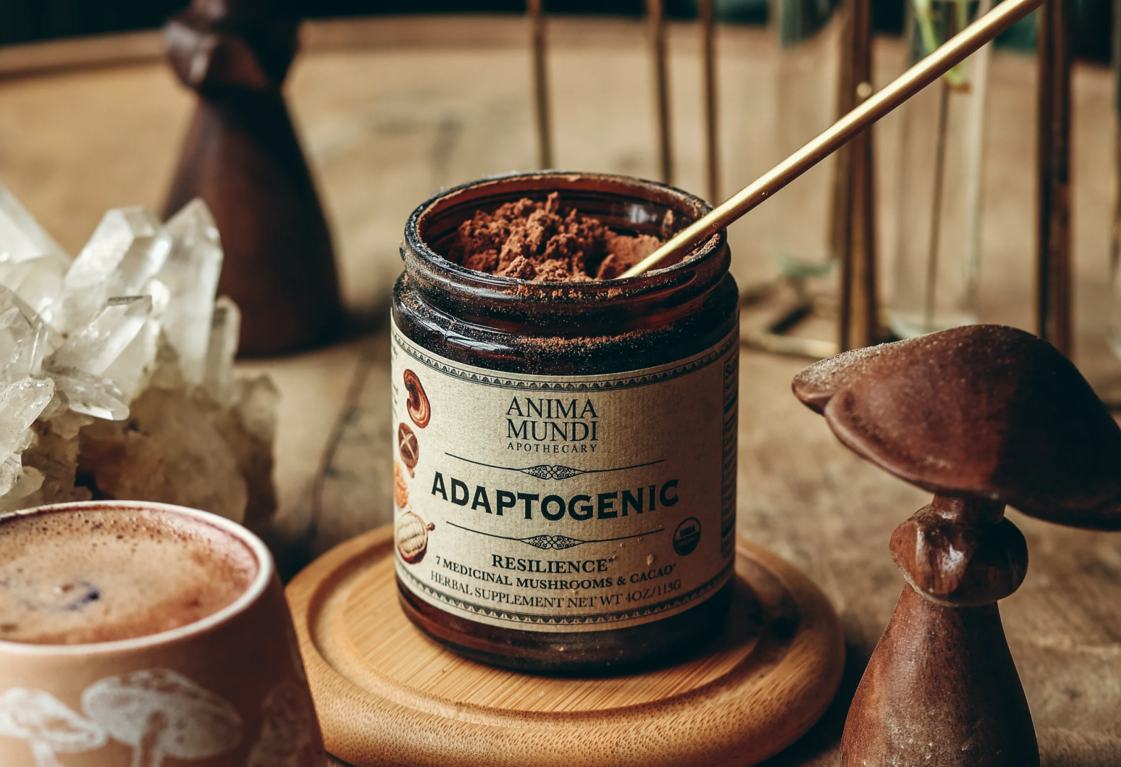 ADAPTOGENIC Powder | Organic, 7 Medicinal Mushrooms + Cacao
